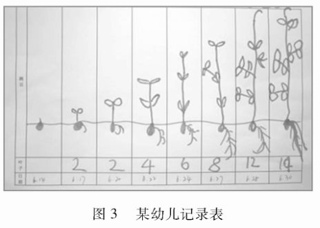 圖標(biāo)在科學(xué)觀察“種植豌豆”活動(dòng)中的思考