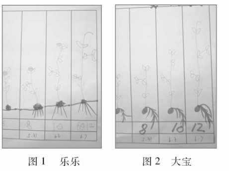 圖標(biāo)在科學(xué)觀察“種植豌豆”活動(dòng)中的思考