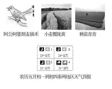 從認(rèn)知維度審視中高考語文命題
