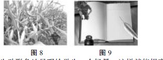 電子白板教學在美術教學中的優(yōu)越性