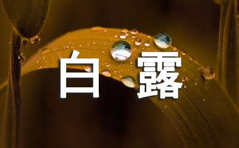 茑(xi)(ji)¶ľ