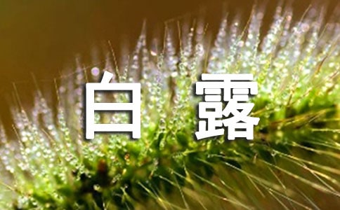 P(gun)ڰ¶Ą(chung)