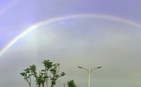 ʺСW(xu)ģͨ55ƪ