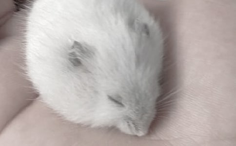 }[\15ƪ]