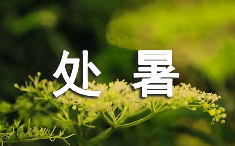 P̎(ji)Z