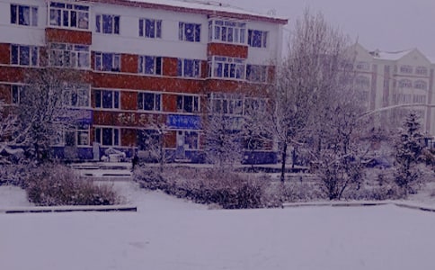ůꖵ