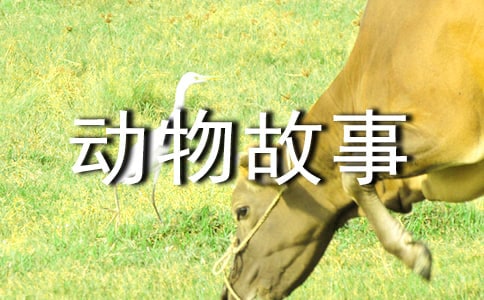 ƷͯԒƪ