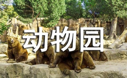 Ҽǂ(g)(dng)@СW(xu)