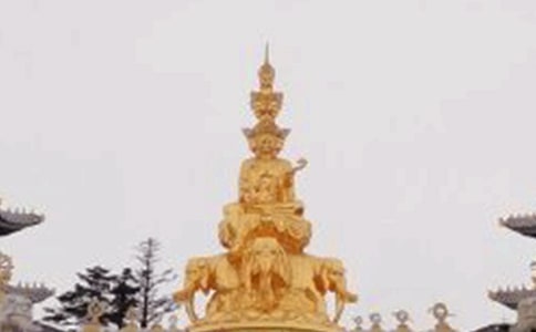 ζüɽ