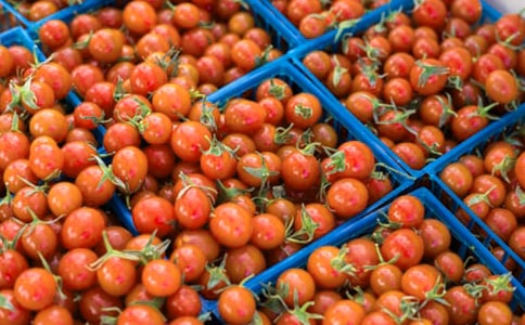 ѳġR15ƪ