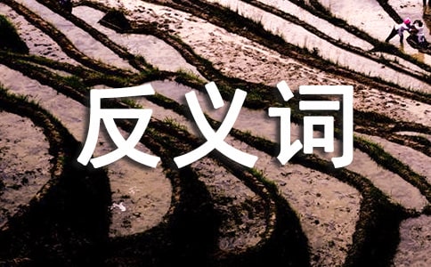 (f)(x)x~