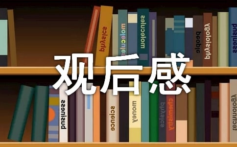 졷^