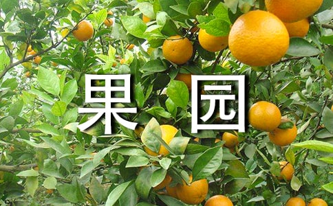 @(yu)ƪ