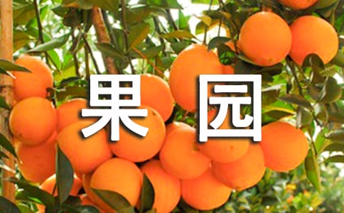 @(yu)ĺϼ15ƪ