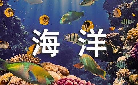 W(xu)W(wng)j(lu)Č(sh)(x)(bo)