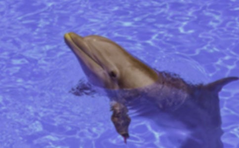 ɐ۵ĺ