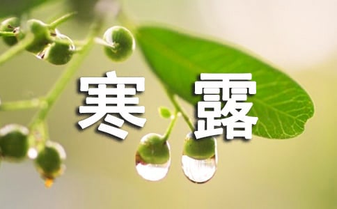 茑¶ľ