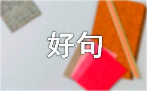 ʮһþ