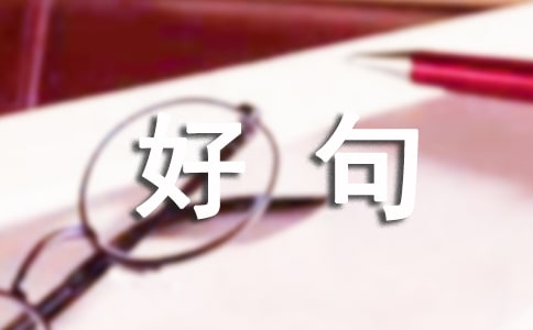 ʮþ