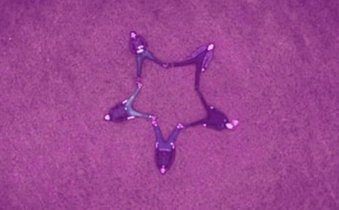 ĺ_600