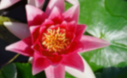 ɻ(yu)ģ\14ƪ