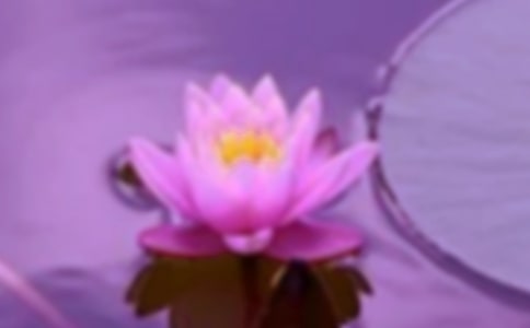 (gu)ƌWwϵMCl(f)չ
