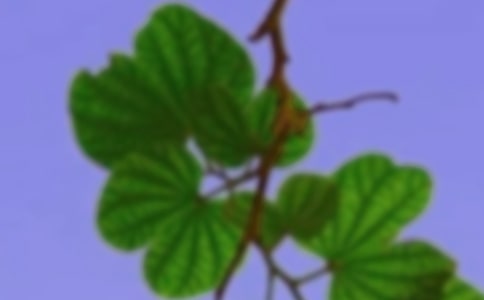 C(yu)(15ƪ)