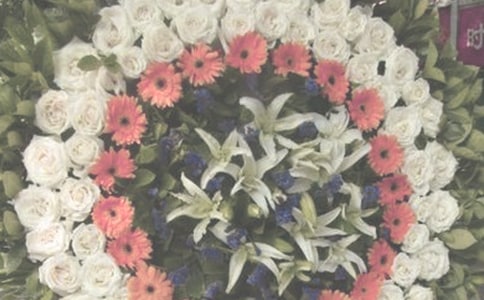 샞(yu)
