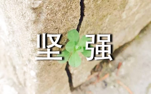 (jin)(qing)Z