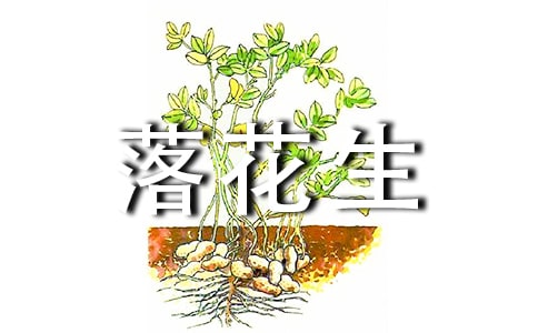 СW(xu)Z仨̰(ϼ14ƪ)
