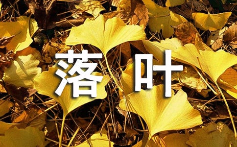 ~ľ21