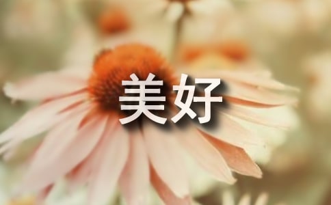 ׌ģx48ƪ