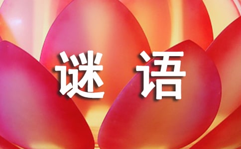 iZɁ