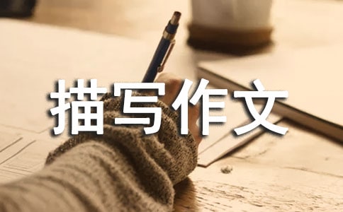 СW(xu)꼉(j)茑(xi)