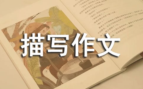 (yu)茑