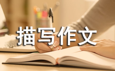 (x)(ji)茑