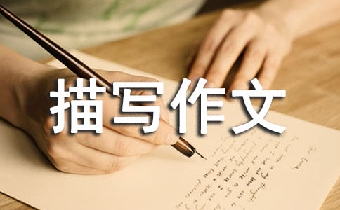 茑