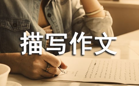(x)(ji)茑ķ