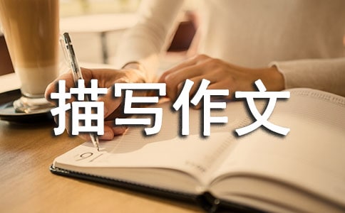 ò茑(xi)