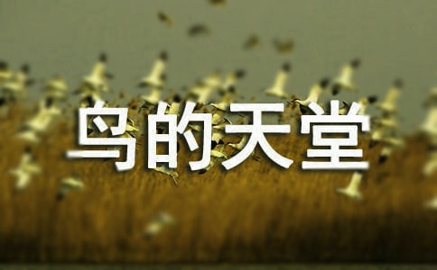 Bá̌Wc˼