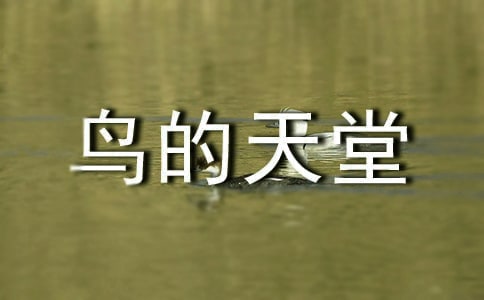 BÃ(yu)