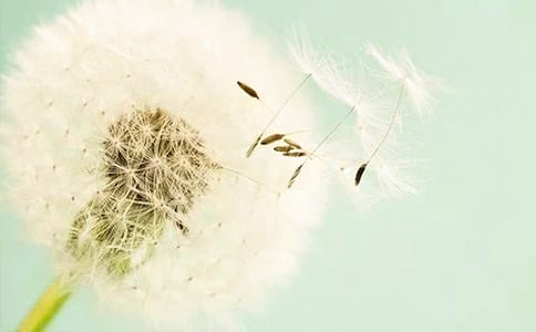 ѹӢă(yu)㡾15ƪ