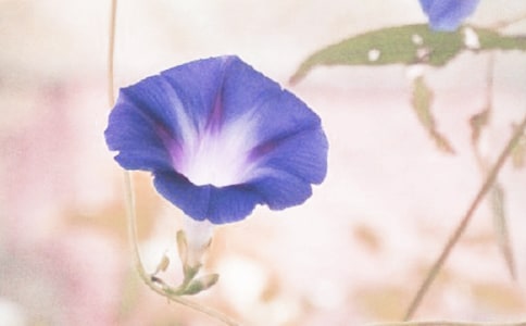 x茑ţ3ƪ