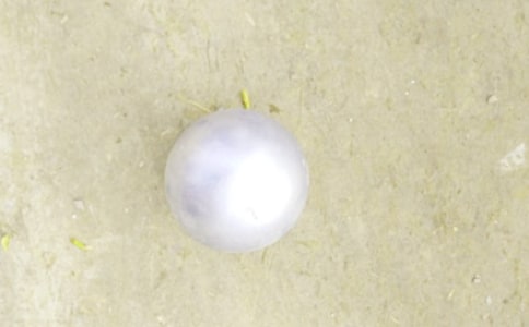 wṴͨ16ƪ
