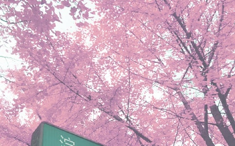 ＾ڂ(g)˹Y(ji)ͨ5ƪ