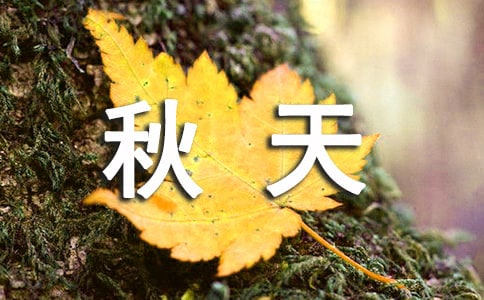 xСW(xu)ĺϼʮƪ