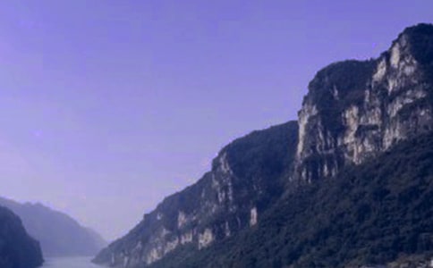 L(zhng){300