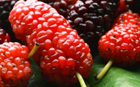 ժɣģx49ƪ