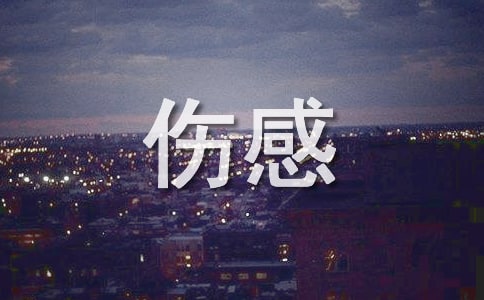 (jng)ΨZ28