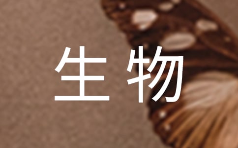 ߶nMӋ9ƪ